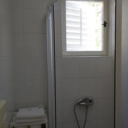 Bugenvila * فربوسكا