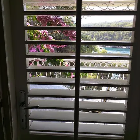 Bugenvila * فربوسكا