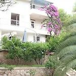 Bugenvila فربوسكا