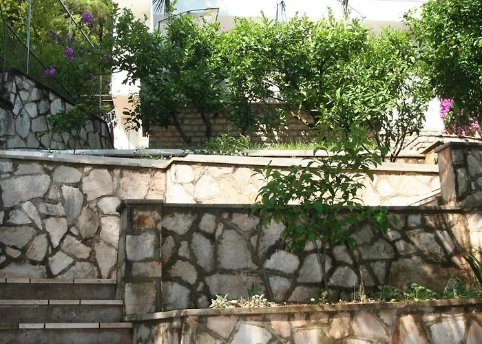 Bugenvila * Vrboska
