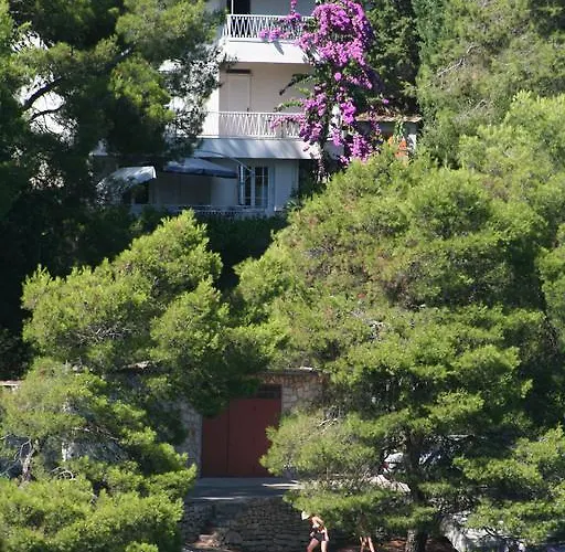 Bugenvila דירה *